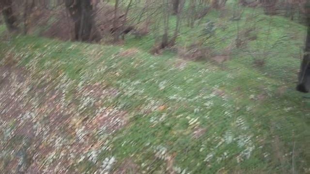 Вальдшнеп вылетел прямо в лицо. Эпизод с последней охоты Аркана смотреть онлайн