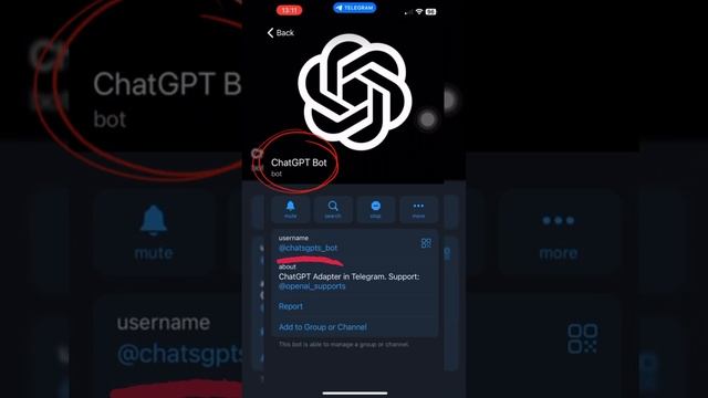 Sử dụng chat GPT trên telegram#telegram #thegioitelegram #tips #chatgpt смотреть онлайн