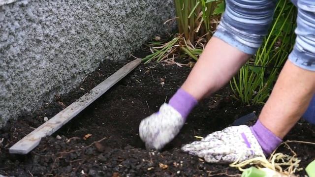 How-to transplant Iris Part 2 смотреть онлайн