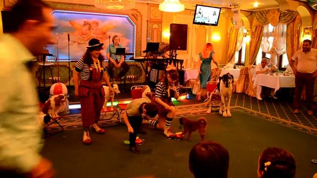 Дог шоу в ресторане Сказка Востока 1001 ночь смотреть онлайн