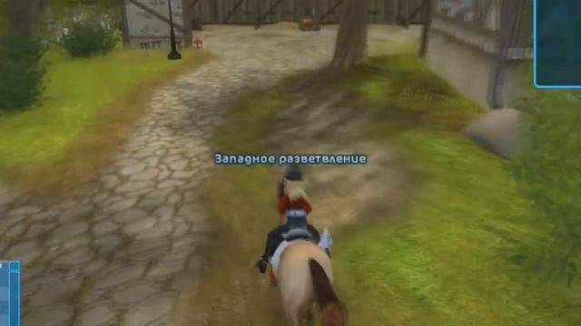 О том, как я купила английскую чистокровную лошадь  | Star Stable