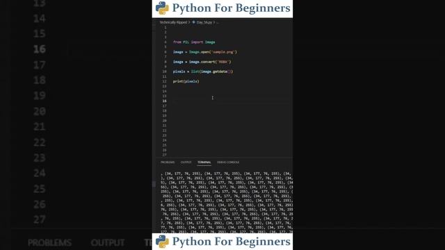 How To Remove The Background In An Image Using Python | Python For Beginners смотреть онлайн