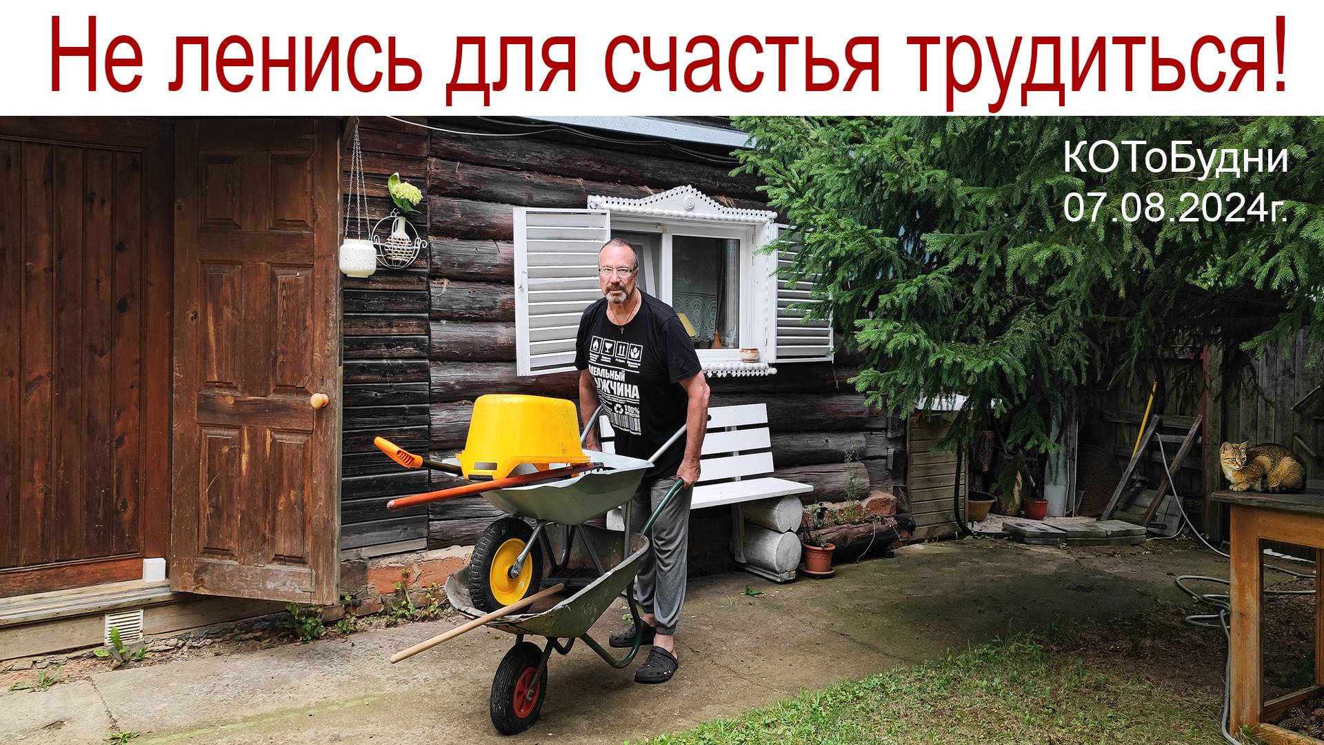 Хочешь быть счастливее вдвойне - работай вдвое больше! КОТоБудни от 07.08.2024г. смотреть онлайн