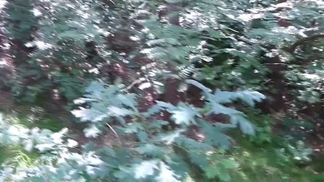 Поиск с металлоискателем лето зима смотреть онлайн