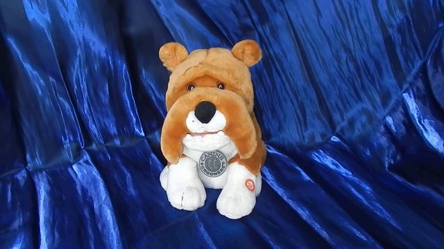 Canine Crooners Bulldog- Louis Armstrong 