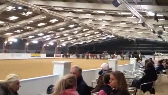 Greylands Stardust arena UK смотреть онлайн