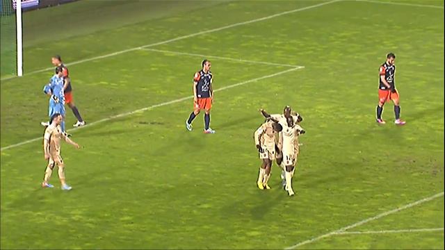 Montpellier Hérault SC - Valenciennes FC (3-1) - Highlights (MHSC - VAFC) / 2012-13 смотреть онлайн