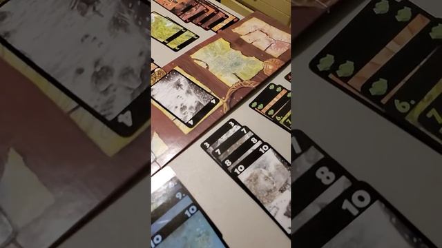 Lost Cities Card Game View смотреть онлайн