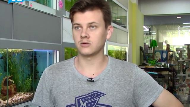 Усатые-пернатые: растения в аквариуме смотреть онлайн