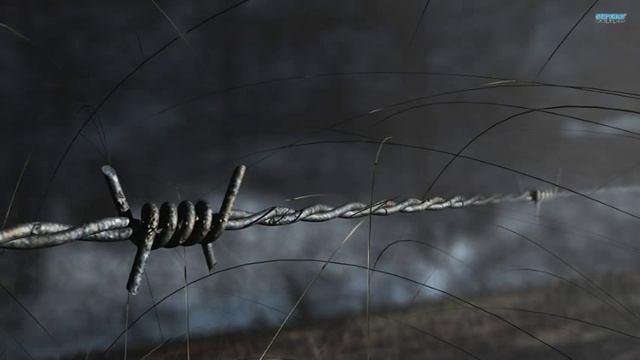 58. Биография Васильева С.А, По глубинам бездны Колымы. Часть 8 смотреть онлайн