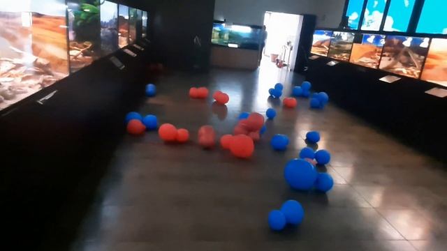 Зоопарк г.Пятигорск 02.04.2022 смотреть онлайн