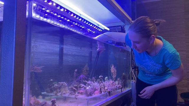 Уход за аквариумом. Неожиданные гости. смотреть онлайн