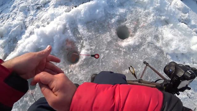 РЫБАЧУ ДЕНЬ И НОЧЬ ОДИН НА ЛЬДУ ПОД ВОЙ ШАКАЛОВ. смотреть онлайн