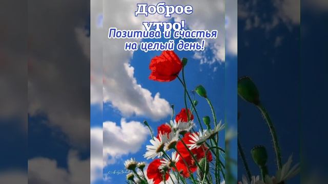 С Добрым утром🌝😘🌞 Счастья всем, здоровья, любви, добра и благополучия под МИРНЫМ небом. смотреть онлайн