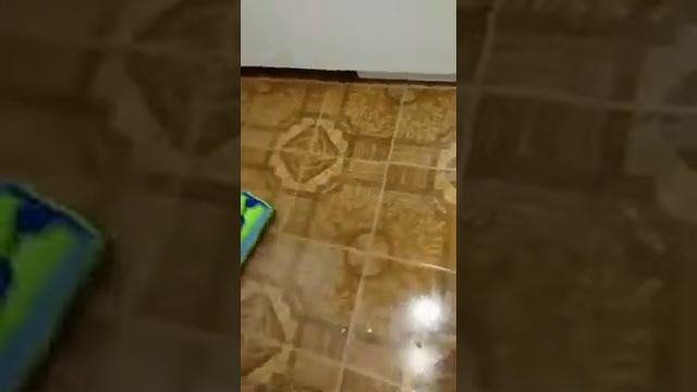 Супер быстрая уборка после ремонта от Гринвей смотреть онлайн