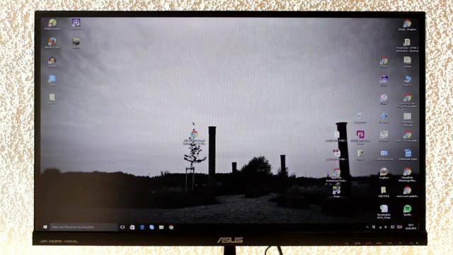 Asus VX279H - Monitor Im Testbericht 02/2016