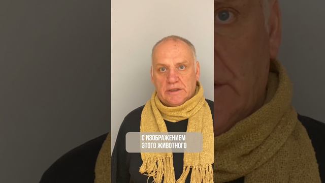 Стоит с ним познакомиться, и хорошее настроение и тонус к вам вернутся смотреть онлайн