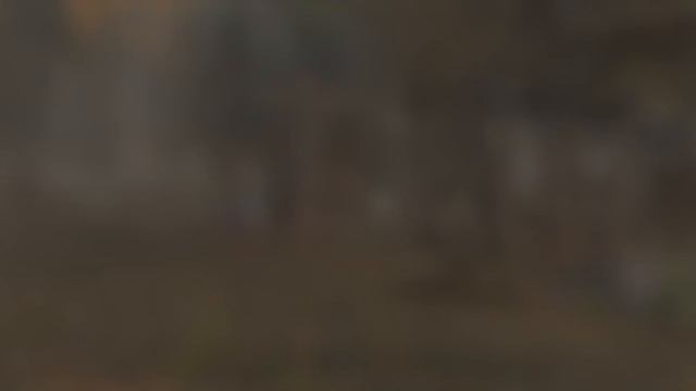 Vanilla Western Plaguelands - Music & Ambience (1 hour, 4K, World of Warcraft Classic) смотреть онлайн