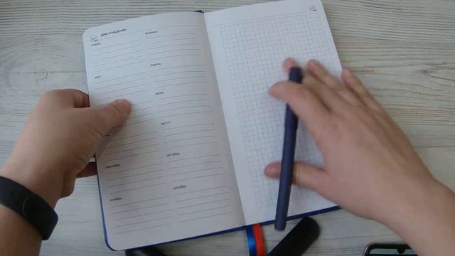 Обзор падми 202. Ежедневник в клеточку с дополнительными страницами. смотреть онлайн