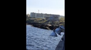 Гремиха 2023 год.