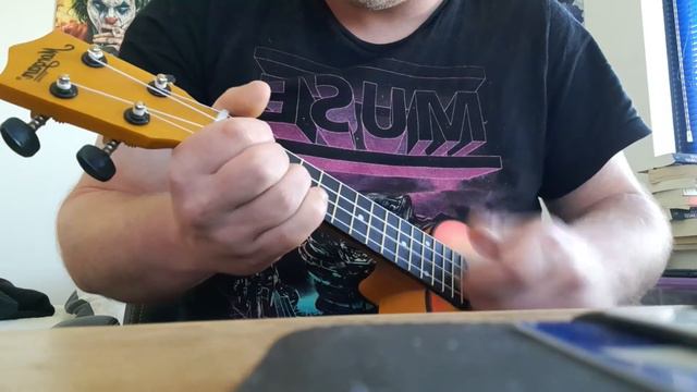 The Police-Every breath you take ukulele cover смотреть онлайн