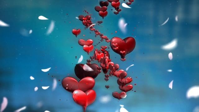 Heart, rose petals | Love | Footage | Video background | Green screen | Download |300 смотреть онлайн