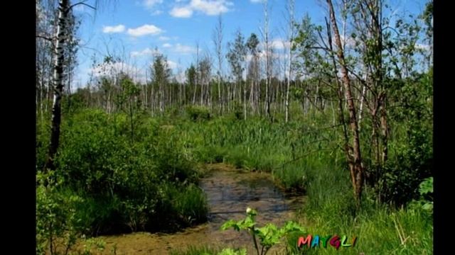 Заблудились на болоте. Версия со скайпа. смотреть онлайн