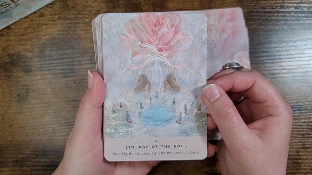 The Rose Oracle | Unboxing and Flip Through смотреть онлайн