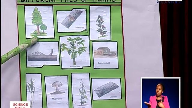 SCIENCE CLASS 5 смотреть онлайн