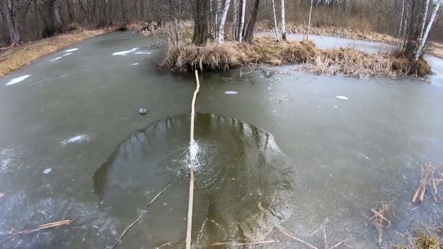Пруд своими руками. Чем заменить донный аэратор, чтобы рыба не задохнулась зимой. Аэрация пруда смотреть онлайн