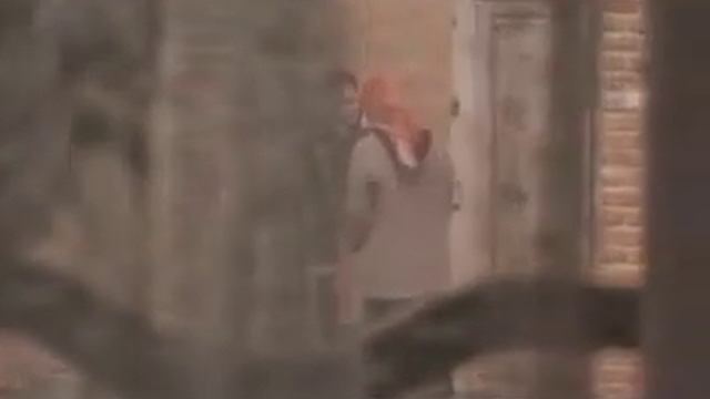 Ивовое дерево смотреть онлайн