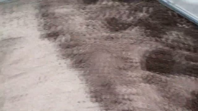 28.05 20 Поздняя посадка огурца разных сортов в теплицу смотреть онлайн