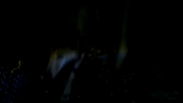 ,без навика 018 смотреть онлайн