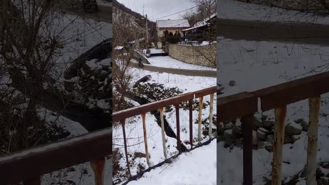 сноу скуутъъс смотреть онлайн