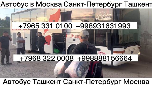 Москва Ташкент Такси.Санкт-Петербург автобус Узбекистан Самарканд Бухара едет из России ,прямой рей смотреть онлайн