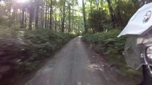 DJI Osmo Action and Garmin Virb XE Action Cams Cameras while in use on Motorcycle
