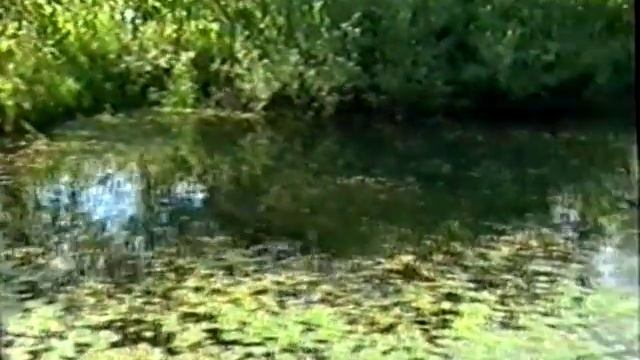 Адаменко Михаил Фёдорович: Экспедиция по р. Мундыбаш. 2000 г. смотреть онлайн