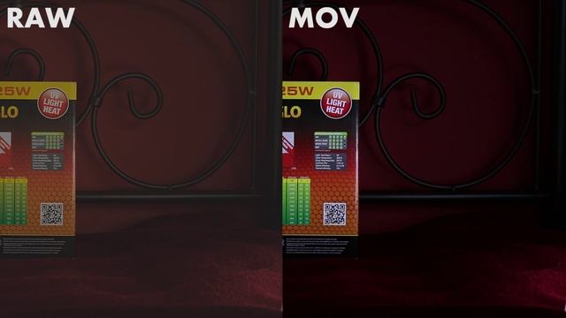 Canon EOS 70D RAW vs MOV 1920x1080 (Magic Lantern) for best video quality смотреть онлайн