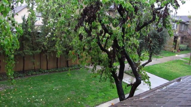 Window Watching: Rainy Morning and Wet Squirrels смотреть онлайн