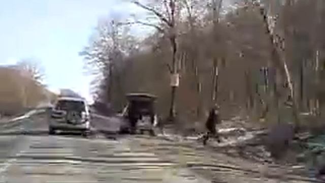 КП на ботаническом саду - Шамора 01 декабря 2007г. смотреть онлайн