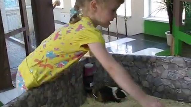 "Домашний зоопарк" 15.08.2014 смотреть онлайн