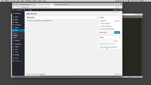 WordPress Custom Post Types and Taxonomies, Part 6: Creating Custom Taxonomies смотреть онлайн