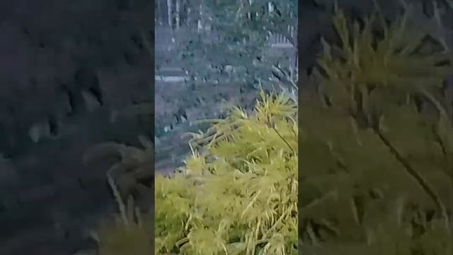 набираем 100подпищиков и рунтур по дому!!! смотреть онлайн