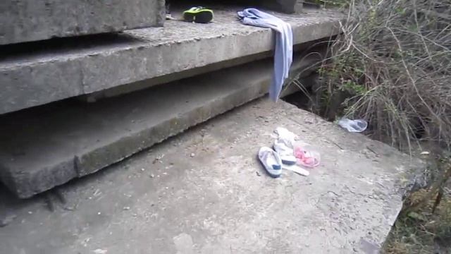 Кормление бездомных животных (Ролик № 39) [Часть № 2] смотреть онлайн