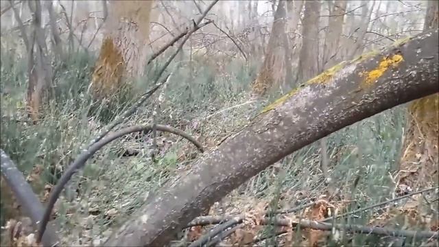 Самый лучший КОП))) смотреть онлайн