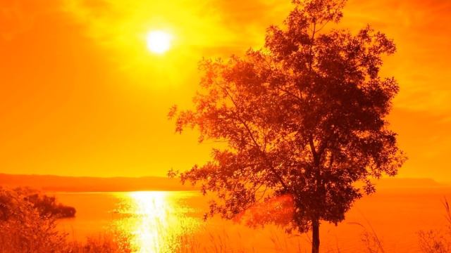 Я слышу зов Любви смотреть онлайн