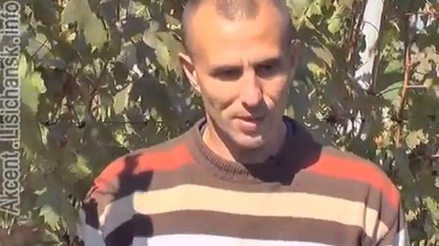 Сам себе агроном - Виноградник в сентябре, 2013 г.