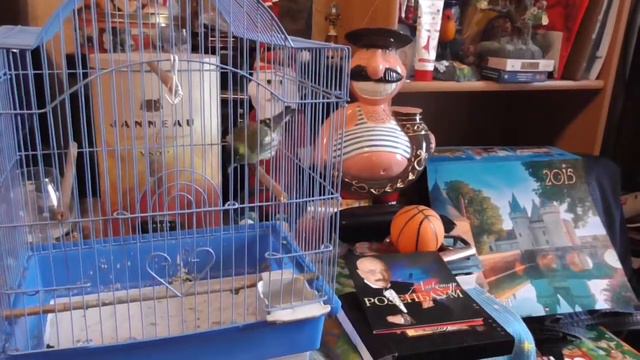 Как Чиж умыл Розенбаума смотреть онлайн