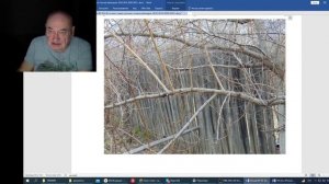 Железов В. Вебинар 162. Ответ Арсену о прививке в расщеп .mp4