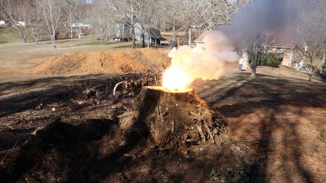 Tree Stump vs. Thermite смотреть онлайн